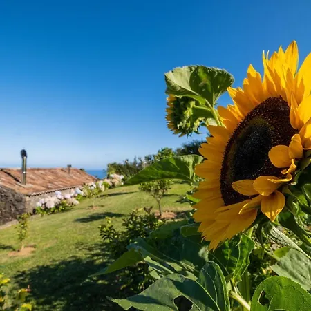 Casa Do Castanheiro - Nordeste, Acores Nordeste (Azores)