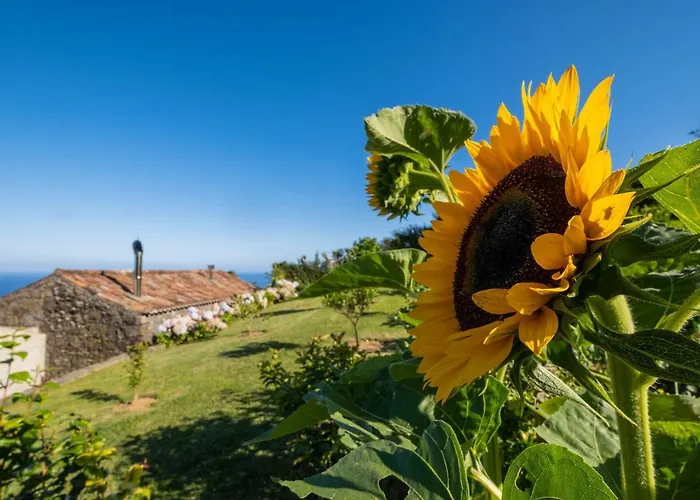 Casa Do Castanheiro, Acores - With Private Pool! Nordeste (Azores)