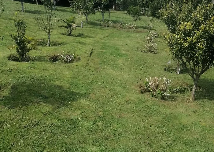 Casa Do Castanheiro, Acores - With Private Pool! Dağ evi Nordeste (Azores)